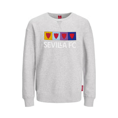 Sudadera niño gris