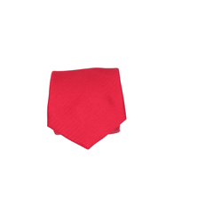 Corbata roja lisa